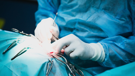 Major Medical Insurance